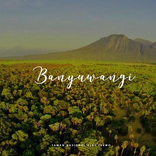 Banyuwangi